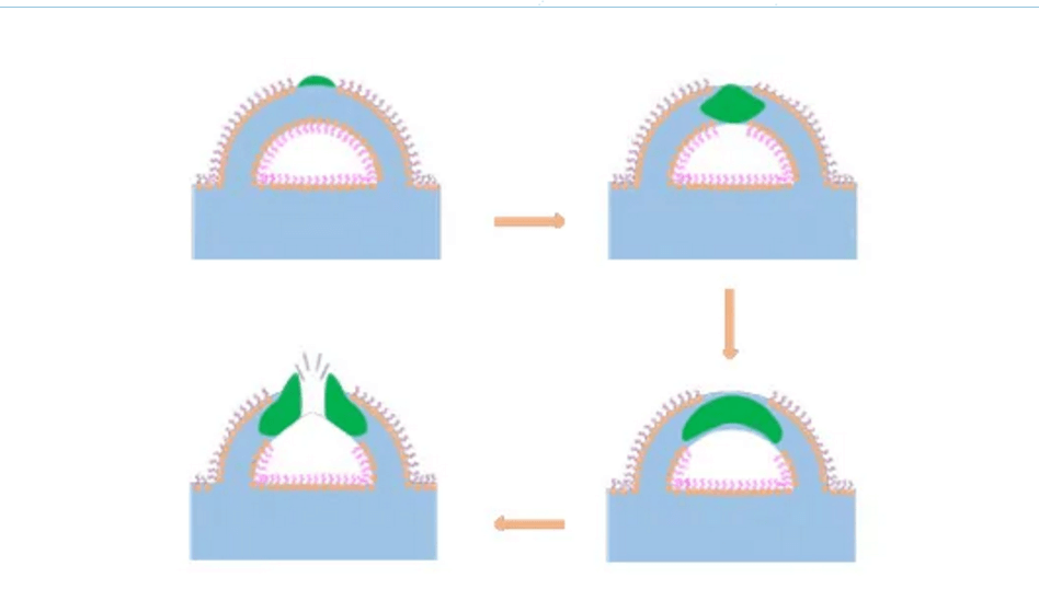 defoamer for paper industry defoamer for paper industry