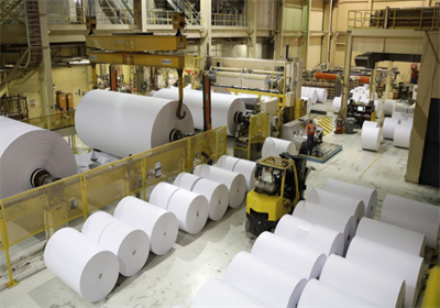 Comparison of silicone vs fatty alcohol defoamer in paper mill