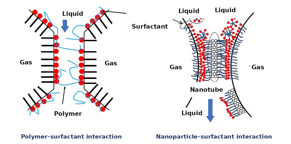 Polymer and nanoparticle interactions with the surfactant film Diagram of polymer-surfactant and nanoparticle-surfactant interactions reinforcing a foam film