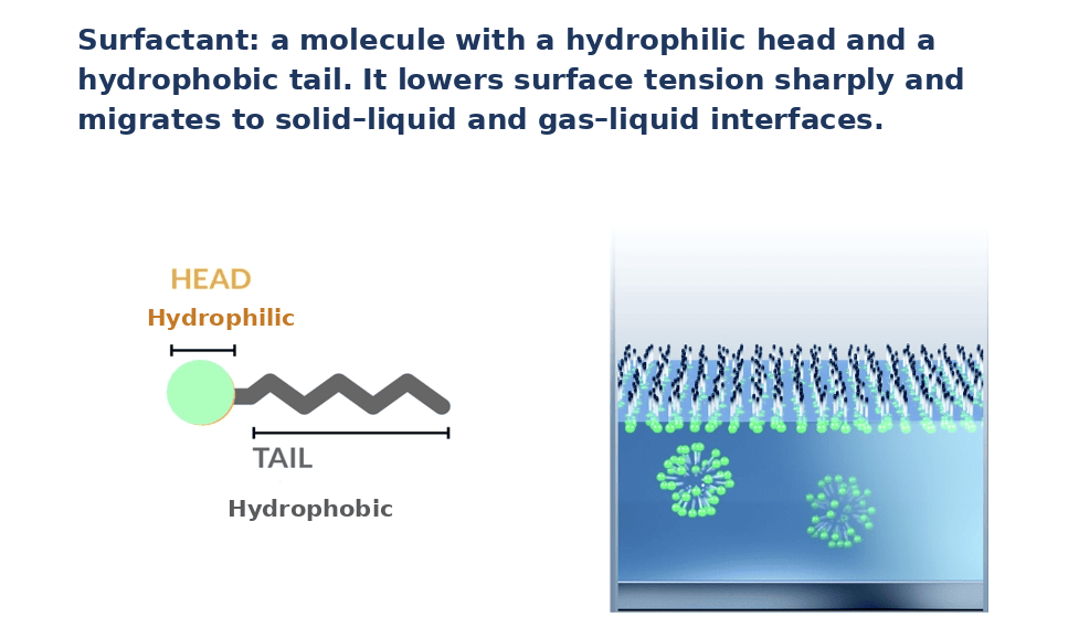 Surfactant structure: hydrophilic head and hydrophobic tail Diagram of a surfactant molecule showing hydrophilic head and hydrophobic tail migrating to the interface